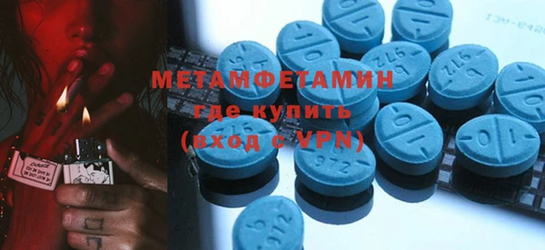 индика Бородино