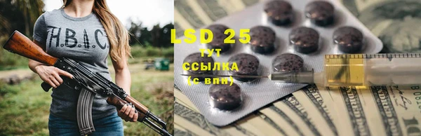 индика Бородино