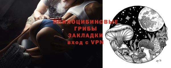индика Бородино
