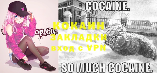 индика Бородино