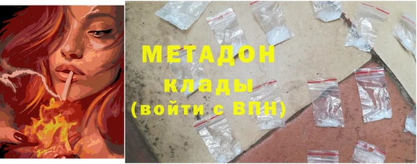 индика Бородино