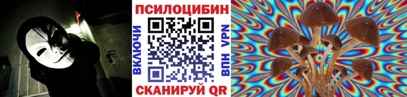 купить Будённовск Галлюциногенные грибы Psilocybe